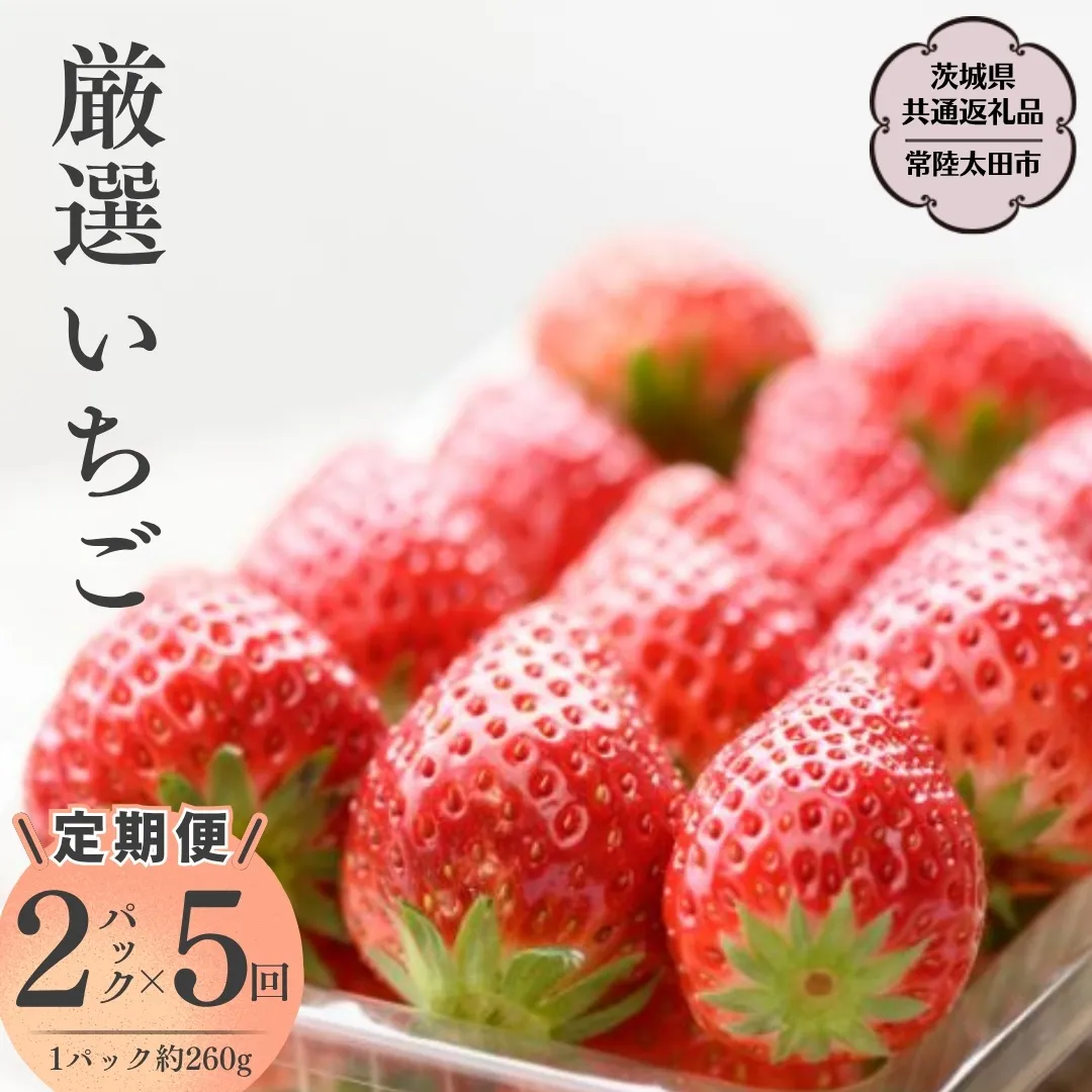 【2026年 先行予約】【定期 毎月お届けコース】厳選いちご 2パック×5回（茨城県共通返礼品／常陸太田市） 2026年1月発送開始 フルーツ 苺 イチゴ いちご 新鮮 朝採れ 茨城県 桧山FRUITFARM