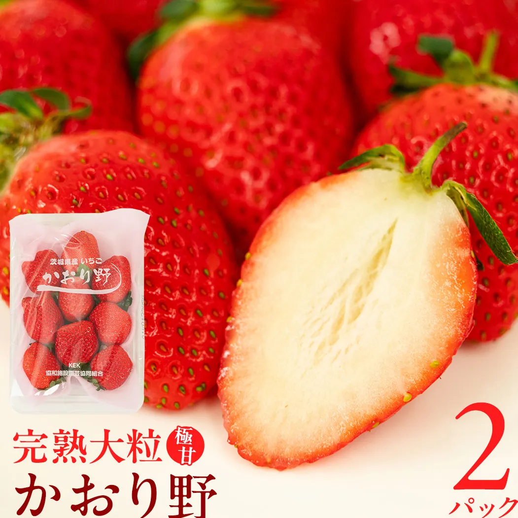 【 2026年1月上旬発送開始 】 完熟 かおり野 260g×2P 国産 いちご イチゴ 苺 果物 フルーツ 茨城県産 KEK 果物 フルーツ [BC024sa]