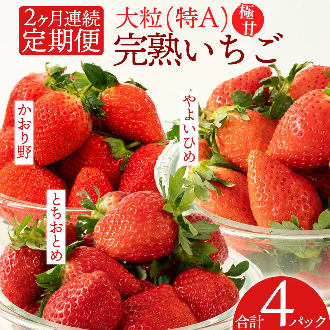 《 2027年 収穫分 》全2回 定期便 完熟 いちご 2パック × 2回 合計 4パック KEK 国産 かおり野 とちおとめ やよいひめ 国産 いちご イチゴ 苺 くだもの 果物 フルーツ 冬 春 旬 [BC073sa]
