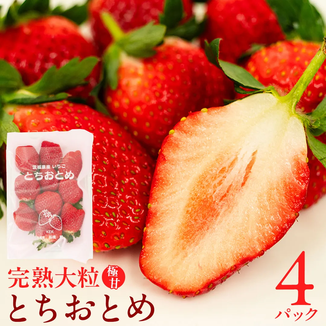 《 2027年 収穫分 》 完熟 とちおとめ 260g×4パック KEK 国産 いちご イチゴ 苺 くだもの 果物 フルーツ 冬 春 旬 [BC006sa]