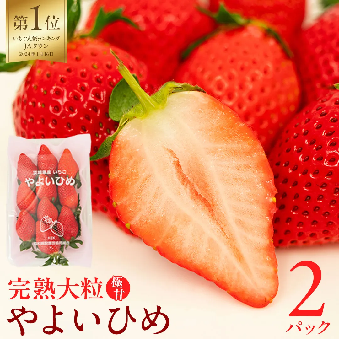 《 2027年 収穫分 》 完熟 やよいひめ 260g×2パック 国産 いちご イチゴ 苺 くだもの 果物 フルーツ 冬 春 旬 [BC026sa]