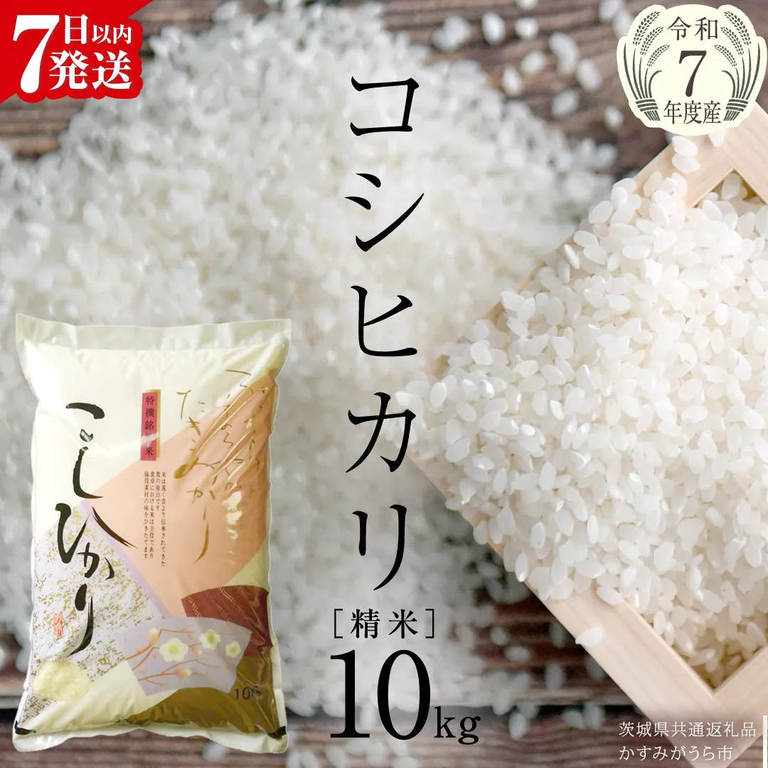 【令和7年産】 コシヒカリ 精米10kg（10kg×1袋）（茨城県共通返礼品 かすみがうら市産） 米 ごはん もっちり 甘い コメ お米 白米 銘柄米[EX002sa]
