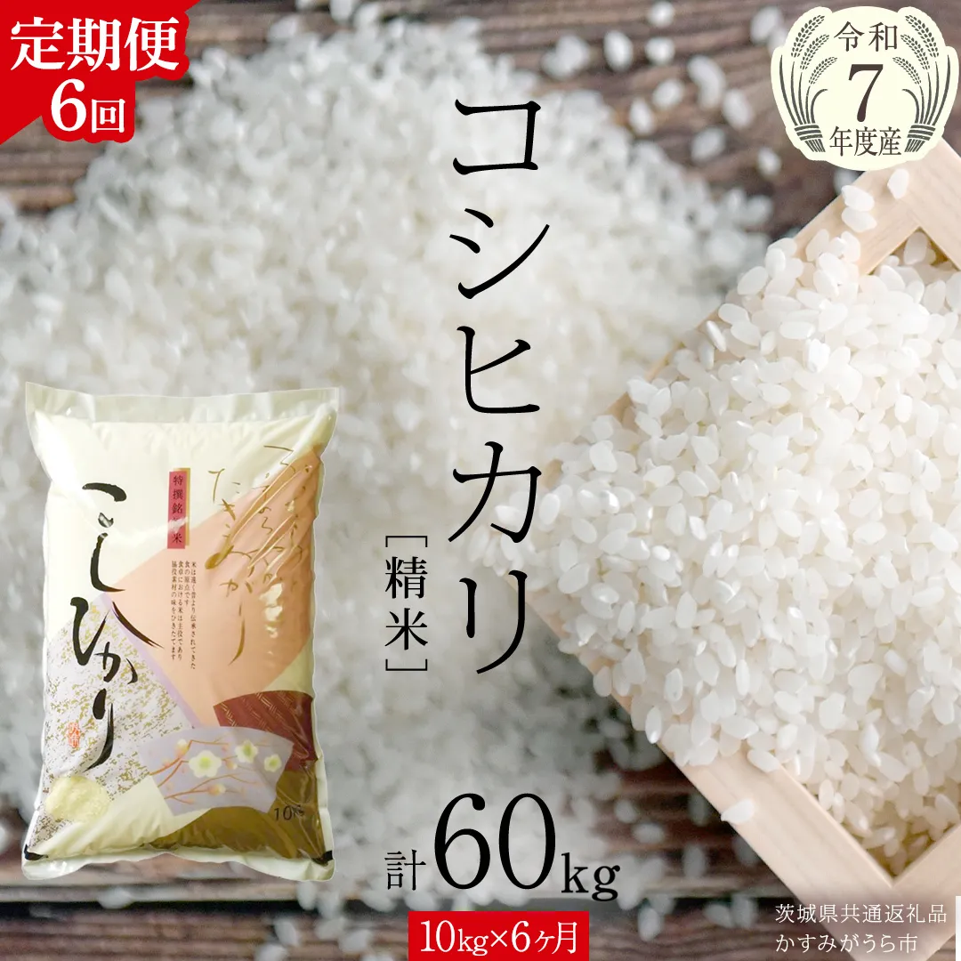 【 6ヶ月 定期便 】【 令和7年産 】 コシヒカリ 精米 10kg ( 10kg × 1袋 ) × 6回 ( 合計 60kg )（茨城県共通返礼品かすみがうら市）新米 米 ごはん もっちり 甘い コメ お米 白米 銘柄米 [EX020sa]