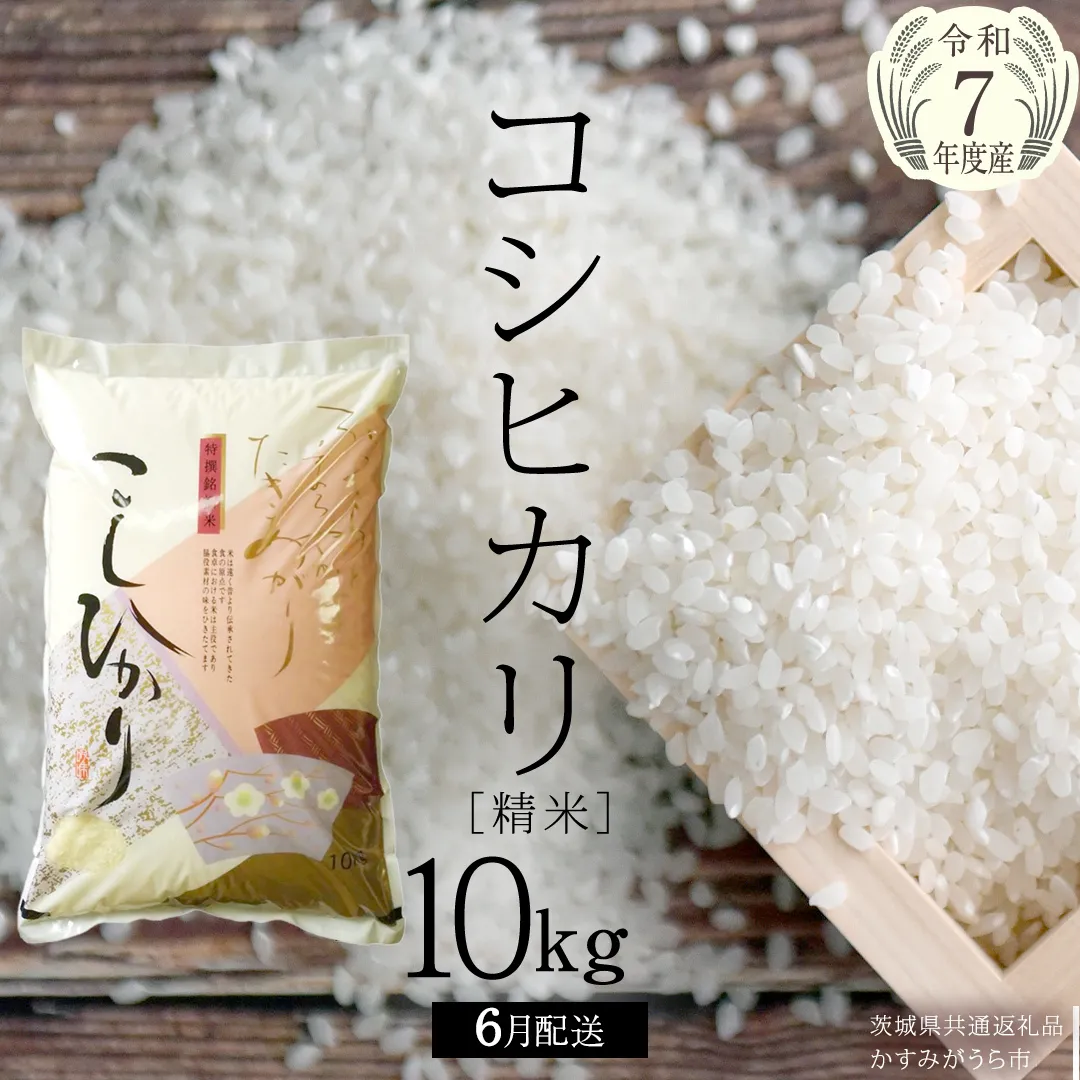 ＼ 6月出荷 ／【令和7年産】コシヒカリ 精米10kg（10kg×1袋）（茨城県共通返礼品 かすみがうら市産） 米 ごはん もっちり 甘い コメ お米 白米 銘柄米 [EX002sa-06]