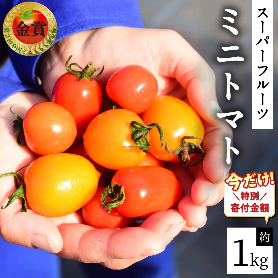 【12/31ご寄附分まで特別寄附額】 スーパーフルーツ ミニトマト 約1kg 2026年2月上旬発送開始 ミニトマト フルーツトマト ブランドトマト トマト とまと 野菜 [BC070sa]