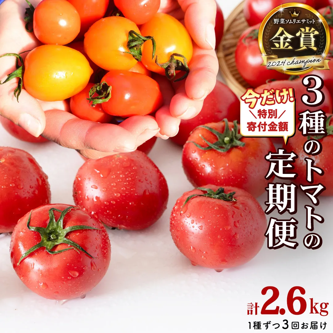 [1/31まで特別寄附金額][ 3回定期便 ] 厳選 フルーツトマト 3品種セット( 毎月1種ずつお届け ) てるて姫 ミニトマト 2026年収穫分 先行予約 フルーツトマト ブランドトマト 野菜 [BC091sa]