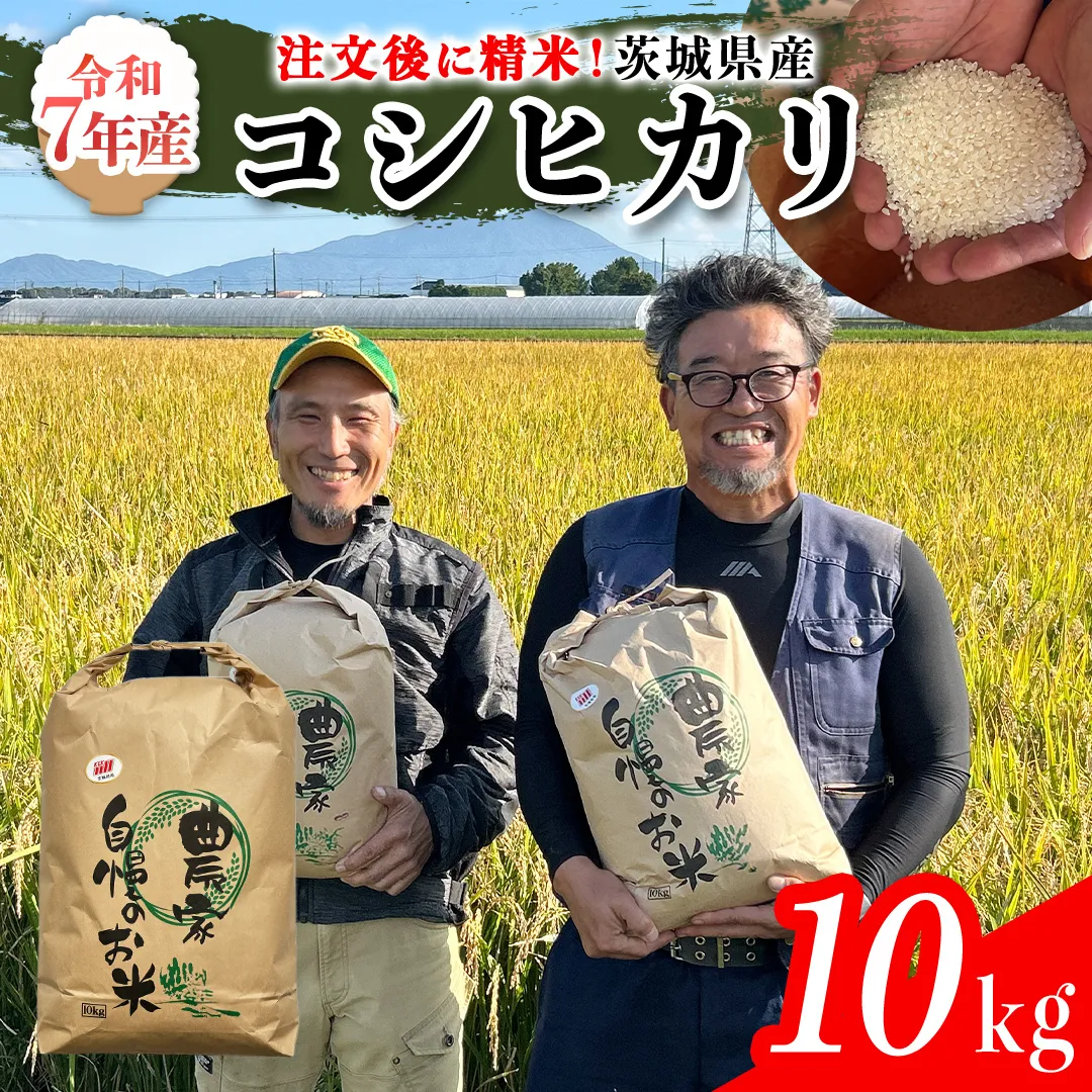 【令和7年】茨城県産 コシヒカリ 10kg 令和7年産 単一原料米 精米 米 お米 コメ 白米 こしひかり 茨城県 [BC083sa]