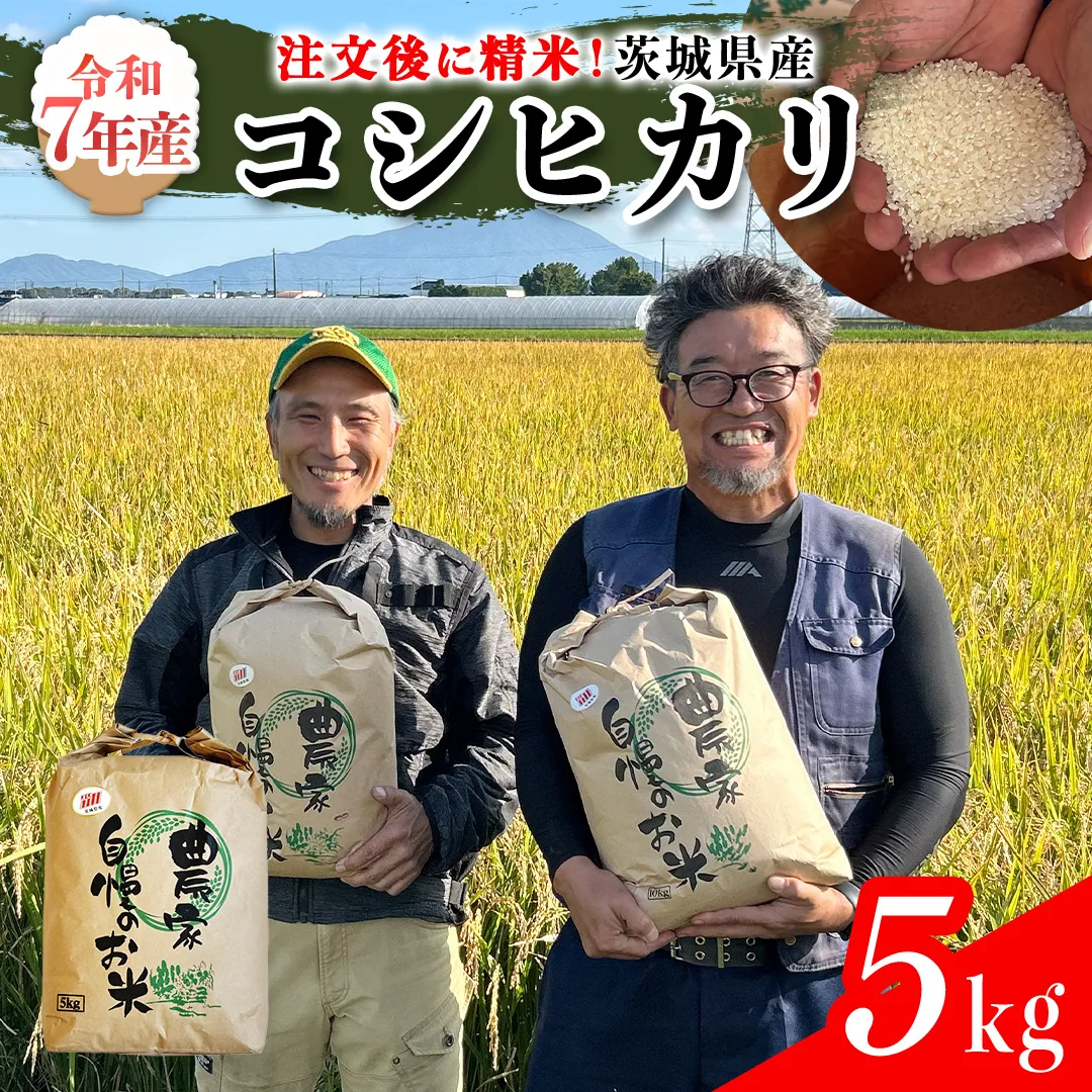 【令和7年】茨城県産 コシヒカリ 5kg 令和7年産 単一原料米 精米 米 お米 コメ 白米 こしひかり 茨城県 [BC084sa]