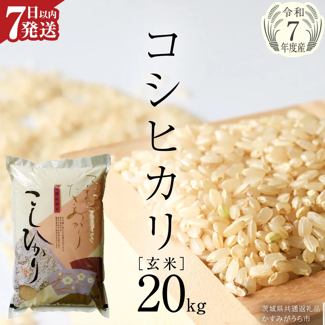 ＼ 最短7営業日以内に発送 ／【令和7年産】コシヒカリ 玄米 20kg（5kg×4袋）（茨城県共通返礼品 かすみがうら市）スピード発送 早い 米 ごはん もっちり 甘い コメ お米 玄米 銘柄米[EX027sa] 
