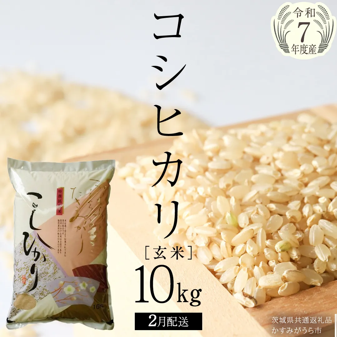 ＼ 2月出荷 ／【令和7年産】コシヒカリ 玄米10kg（10kg×1袋）（茨城県共通返礼品 かすみがうら市産）米 ごはん もっちり 甘い コメ お米 銘柄米[EX012sa-02]