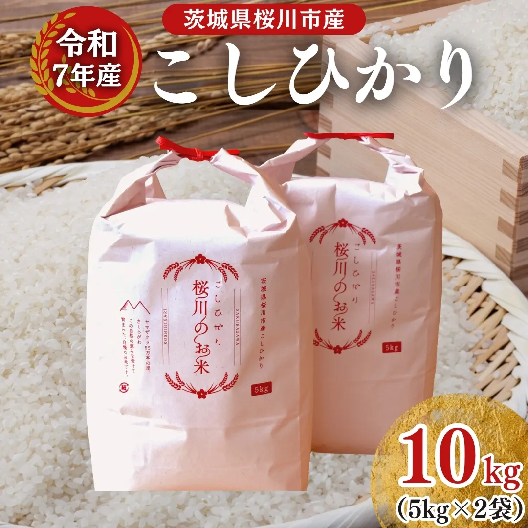 【生産者支援】 《令和7年産 先行予約》茨城県 桜川市産 こしひかり10kg（5kg×2袋） 茨城県産 桜川 米 お米 白米 コメ ごはん 精米 コシヒカリ 国産 限定 銘柄米 [SC050sa]