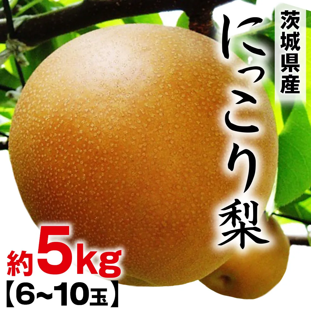にっこり梨 約 5kg （6～10玉） 2026年産 先行予約 梨 果物 フルーツ なし ナシ にっこり くだもの デザート 茨城 [BQ023sa]