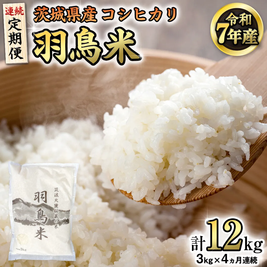《全4回 定期便》《 令和7年産 先行予約 》 コシヒカリ 「幻の米 羽鳥米」 計 12kg (3kg × 4回) 筑波北麓秘蔵米 お米 ごはん 精米 コメ 白米 国産 茨城県 桜川市 限定 期間限定 数量限定 銘柄米 [AX005sa]