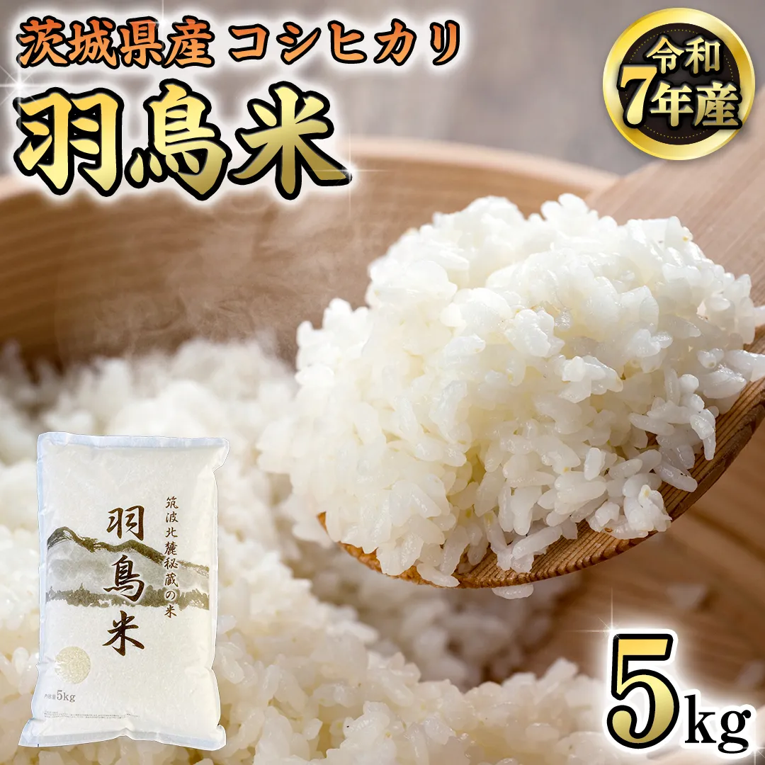 《 令和7年産 先行予約 》 コシヒカリ 「幻の米 羽鳥米」 5kg (5kg × 1袋) 筑波北麓秘蔵米 お米 ごはん 精米 コメ 白米 国産 茨城県 桜川市 限定 期間限定 数量限定 銘柄米 [AX011sa]