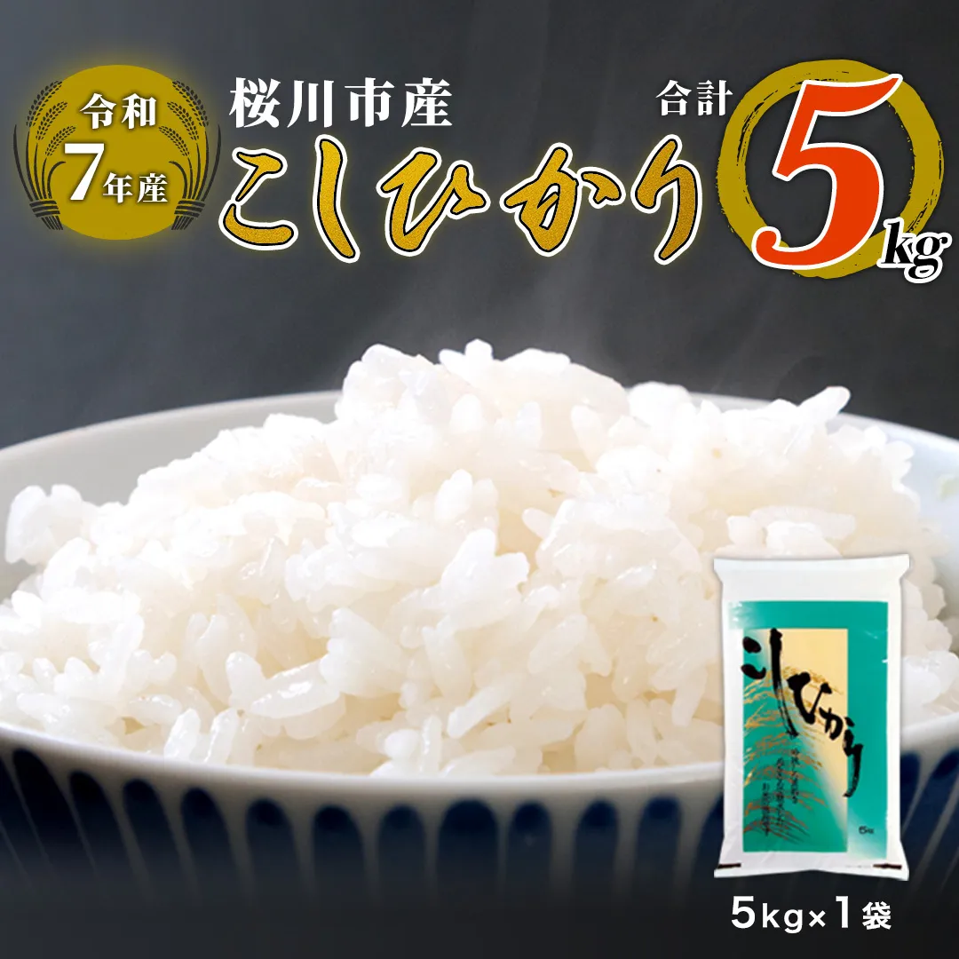 【 令和7年産 】 数量限定 桜川市産 こしひかり 5kg（5kg×1袋） 茨城県産 桜川 米 お米 白米 コメ ごはん 精米 コシヒカリ こしひかり 国産 限定 [AX018sa]
