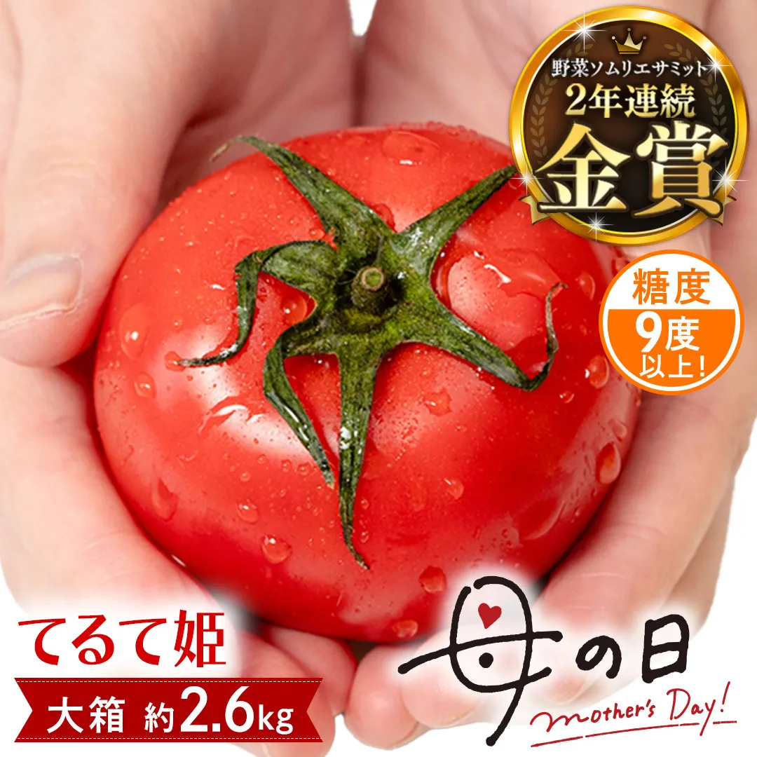 【母の日専用】 スーパーフルーツトマト てるて姫 大箱 約2.6kg ×1箱 糖度9度以上 《5月4日～10日お届け メッセージカード付》 トマト とまと 野菜 母の日 ギフト 贈り物 プレゼント 感謝 記念日 [BC094sa]