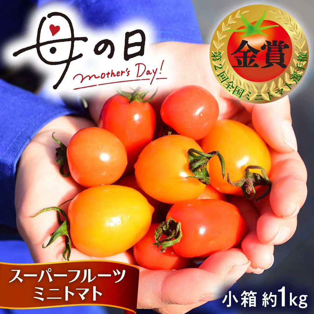 【母の日専用】 スーパーフルーツミニトマト 小箱 約1kg ×1箱 《5月4日～10日お届け メッセージカード付》 ミニトマト フルーツトマト ブランドトマト 野菜 母の日 ギフト 贈り物 プレゼント 感謝 記念日 [BC097sa]