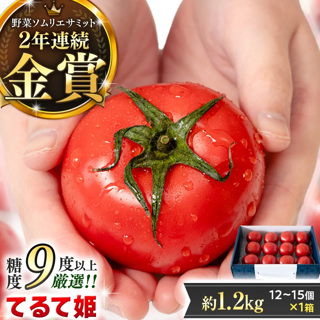 《 2027年 収穫分 》3～4月配送 スーパーフルーツトマト てるて姫 中箱 約1.2kg × 1箱 【12〜15玉/1箱】 糖度9度以上 定期便 先行予約 フルーツトマト ブランドトマト 野菜 ギフト 贈答 青空レストラン アド街ック天国 グッドモーニング 黄金のワンスプーン 昼めし旅 [BC033sa0304]