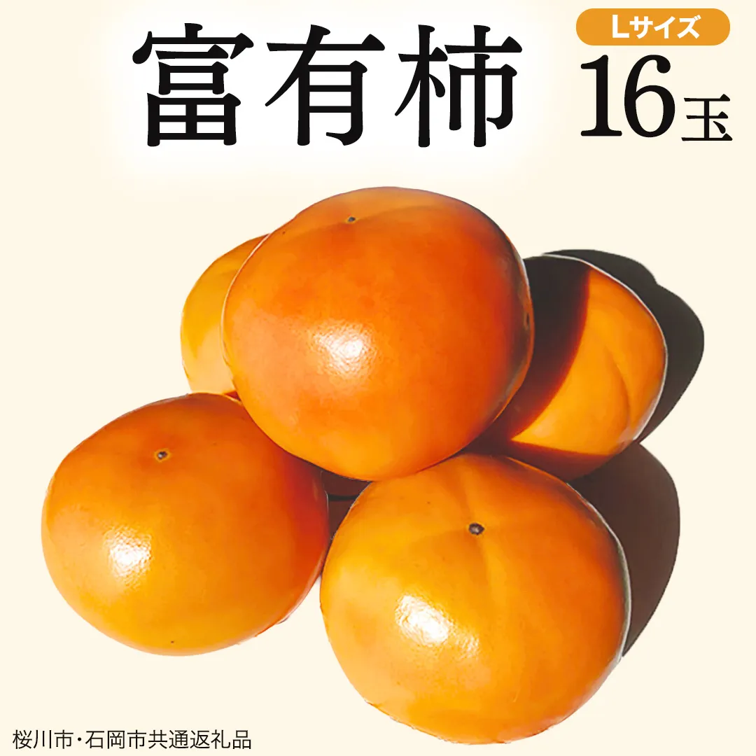 富有柿 L 16玉 (桜川市・石岡市共通返礼品) 果物 くだもの フルーツ 柿 かき 2026年11月中旬以降発送 [DC001sa]