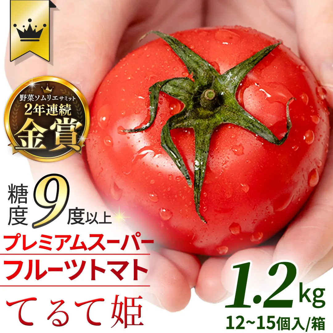 《 2027年 収穫分 》2～3月配送 スーパーフルーツトマト てるて姫 中箱 約1.2kg × 1箱 【12〜15玉/1箱】 糖度9度以上 定期便 先行予約 フルーツトマト ブランドトマト 野菜 ギフト 贈答 青空レストラン アド街ック天国 グッドモーニング 黄金のワンスプーン 昼めし旅 [BC033sa0203]