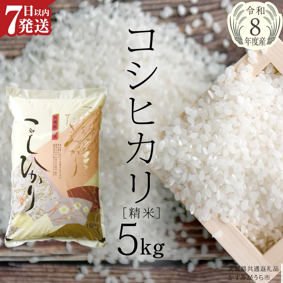 【新米】 令和8年産 コシヒカリ 精米 5kg ( 5kg × 1袋 ) (茨城県共通返礼品) こしひかり スピード発送 早い 米 ごはん もっちり 甘い コメ お米 白米 銘柄米  (茨城県共通返礼品 )[EX010sa]