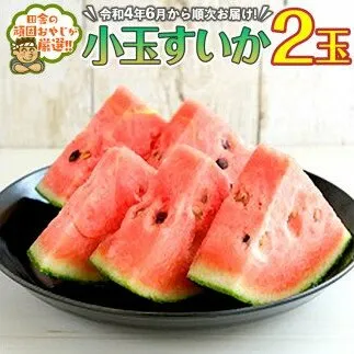 小玉すいか2玉【令和4年6月から順次お届け】田舎の頑固おやじが厳選！ [BI102-NT]
