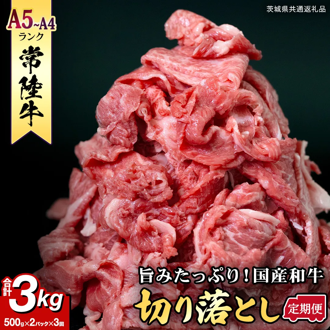 【定期便】 全3回 【 常陸牛 】 切り落とし 1kg (茨城県共通返礼品) 国産 切落し 焼肉 焼き肉 お肉 A4ランク A5ランク ブランド牛 小分け [BX87-NT]