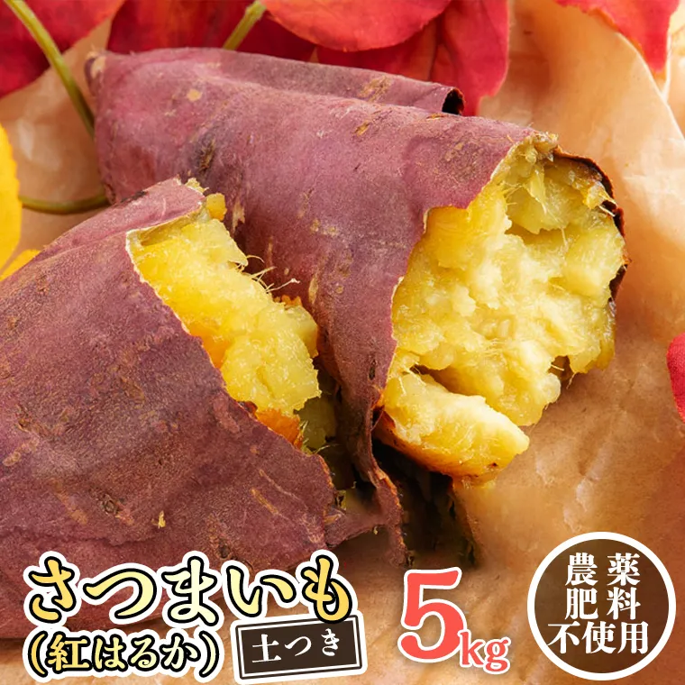 さつまいも ( 紅はるか ） 5kg 【 栽培期間中 / 農薬・肥料不使用 】土つき 高糖度 肥料不使用 自然栽培 スイーツ 焼き芋 天ぷら スイートポテト 秋 べにはるか 食物繊維