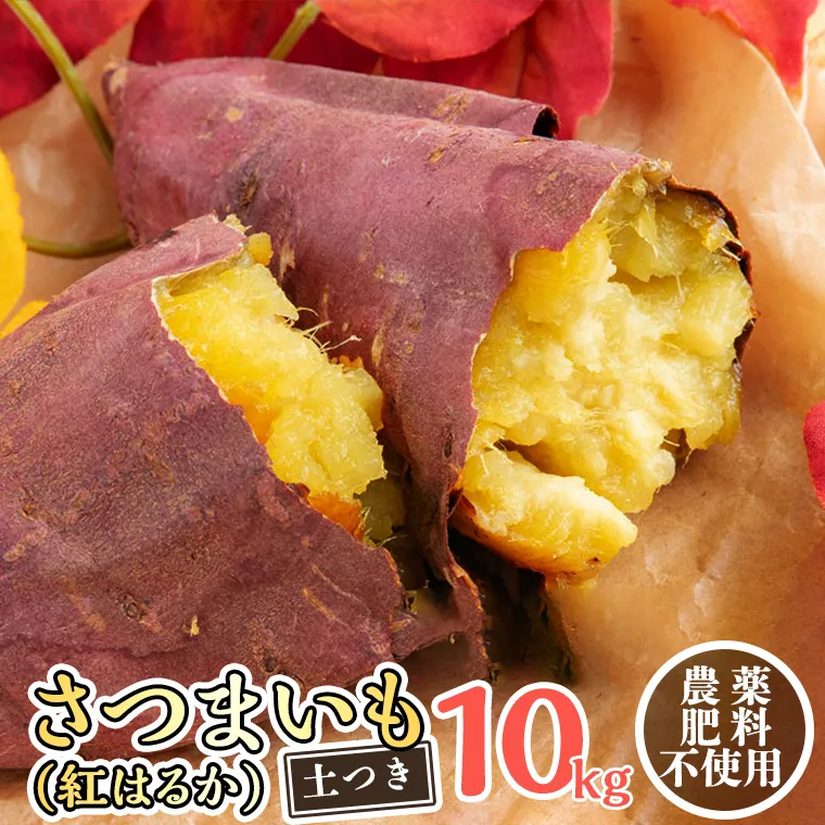 さつまいも ( 紅はるか ） 10kg 【 栽培期間中 / 農薬・肥料不使用 】土つき 高糖度 肥料不使用 自然栽培 スイーツ 焼き芋 天ぷら スイートポテト 秋 べにはるか 食物繊維