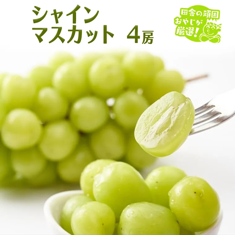 シャインマスカット 4房 【2025年7月より発送開始】 （茨城県共通返礼品：かすみがうら市産） 田舎の頑固おやじが厳選！ マスカット 種なし ギフト 高糖度 大粒 甘い 美味しい フルーツ [BI292-NT]