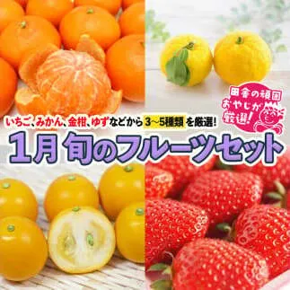 旬のフルーツセット 1月号 【2026年1月より発送開始】田舎の頑固おやじが厳選！ [BI78-NT]