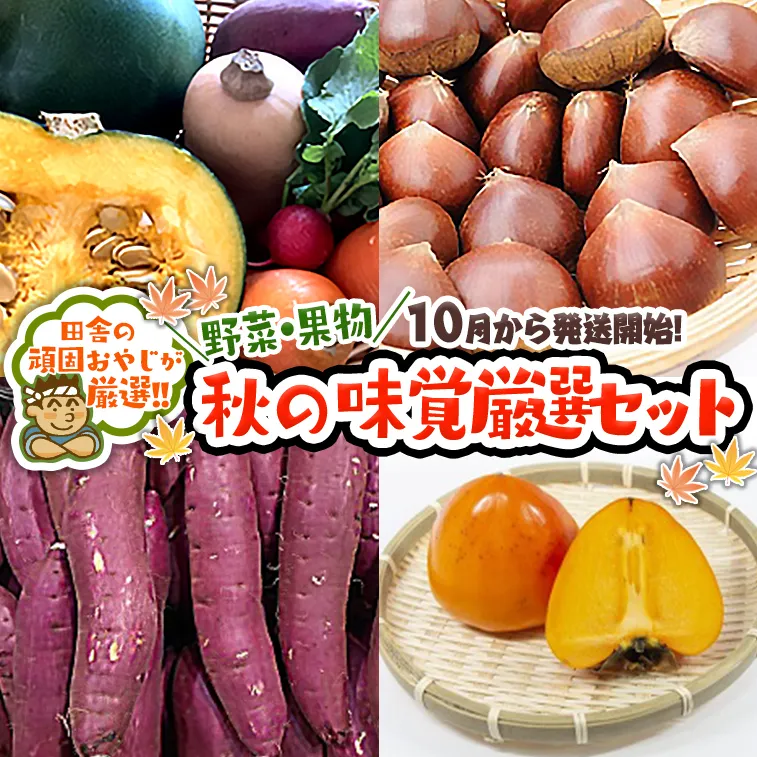 秋 の味覚（野菜・果物）厳選 セット【10月より発送開始】田舎の頑固おやじが厳選！[BI199-NT]
