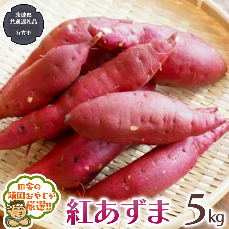 紅あずま 5kg 【2024年10月から発送開始】（茨城県共通返礼品 [さつまいも]：行方市産） さつまいも 紅あずま 芋 いも 野菜 [BI412-NT]