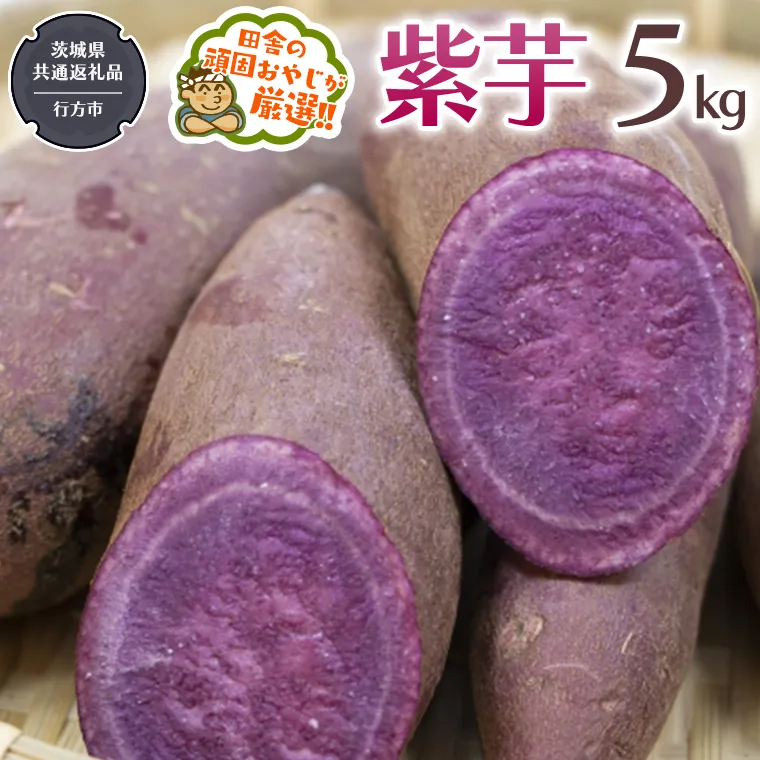 【2026年12月より発送開始】紫芋 5kg （茨城県共通返礼品 [さつまいも]：行方市産） さつまいも 紫芋 芋 いも 野菜 [BI414-NT]