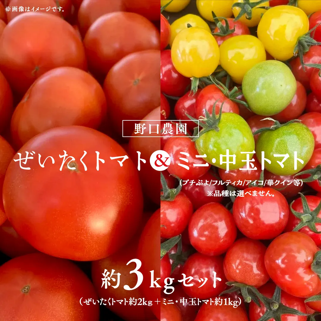 野口農園 ！ ぜいたく トマト ＆ ミニトマト ＆ 中玉 セット （合計 約 3 kg ） トマト ミニトマト プチぷよ フルティカ アイコ 華クイン 新鮮 美味しい 野菜 [J005-NT]