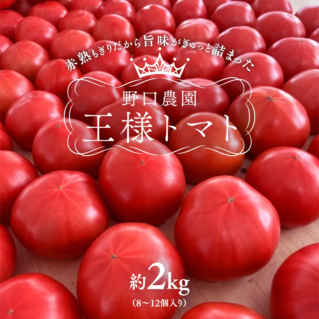 野口農園！ 王様トマト 約2kg ( 8～12個入り )！ ごほうび・麗容・サンロード トマト ごほうび 麗容 サンロード 新鮮 美味しい 野菜 [J007-NT]