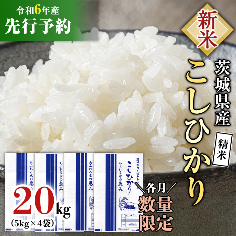 全国で人気の熊本県県産 20kg 人気のコシヒカリ 単一原料米 5 全国で人気の熊本県県産 20kg 人気のコシヒカリ 単一原料米 5