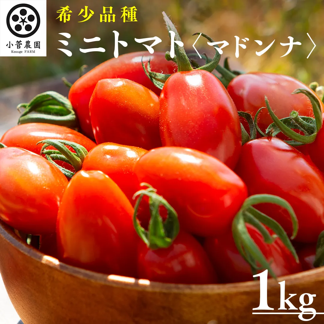 ミニトマト（マドンナ）約1kg 【1月下旬発送開始】 ミニトマト マドンナ とまと リコピン トマト 野菜 [AY08-NT]