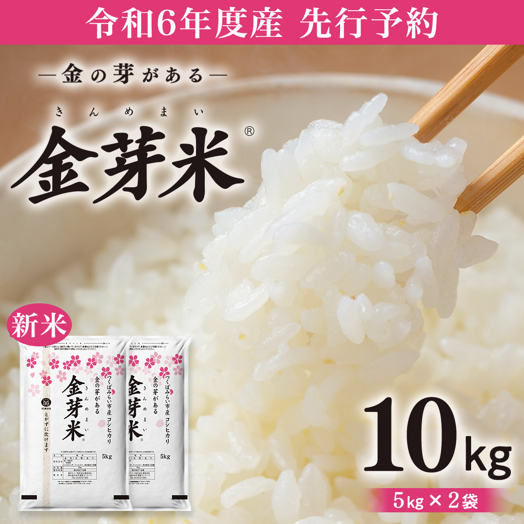 専用 令和6年三重県産コシヒカリ 20kg(2024年10月後半発送】令 専用 令和6年三重県産コシヒカリ 20kg(2024年10月後半発送】令