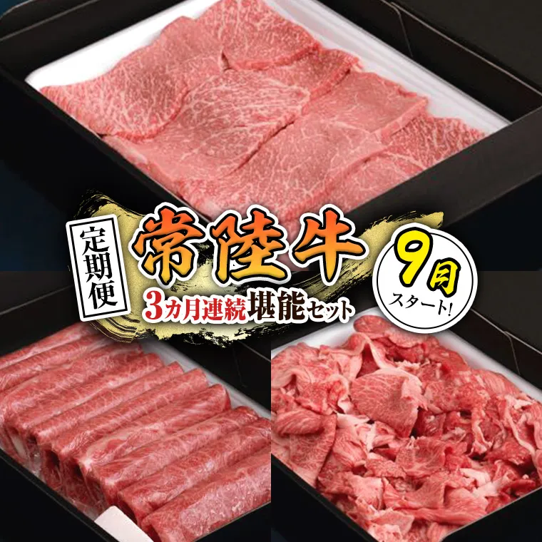 【 定期便 】【 令和7年9月スタート 】【 全3回 】『 常陸牛 』人気3か月堪能セット（ 3か月連続でお届け ）