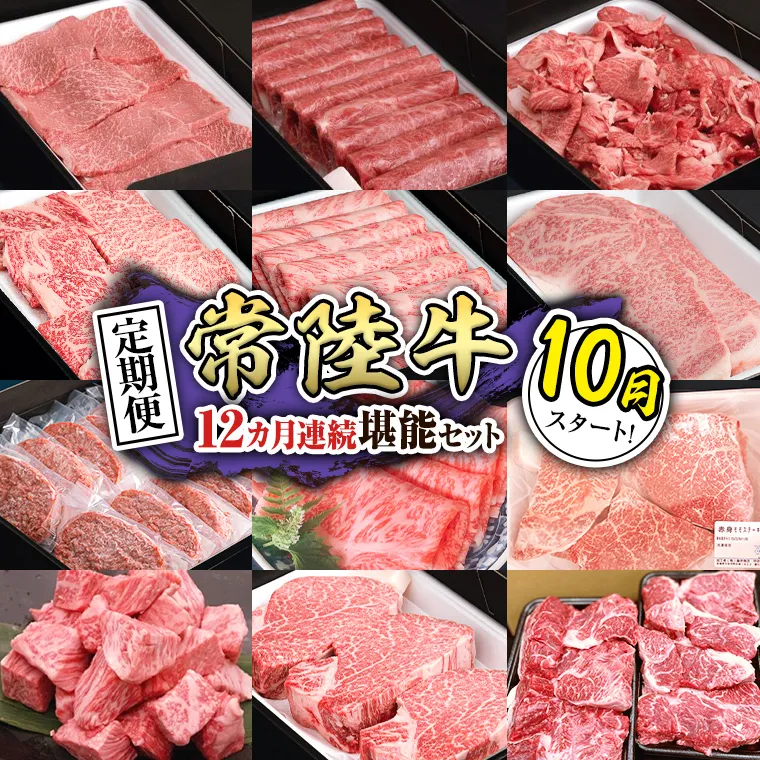 【定期便】【令和7年10月スタート】【全12回】『常陸牛』人気12か月堪能セット（12か月連続でお届け） お肉 肉 牛肉 ステーキ ハンバーグ サーロイン 赤身 切り落とし 霜降り カルビ [BX35-NT]