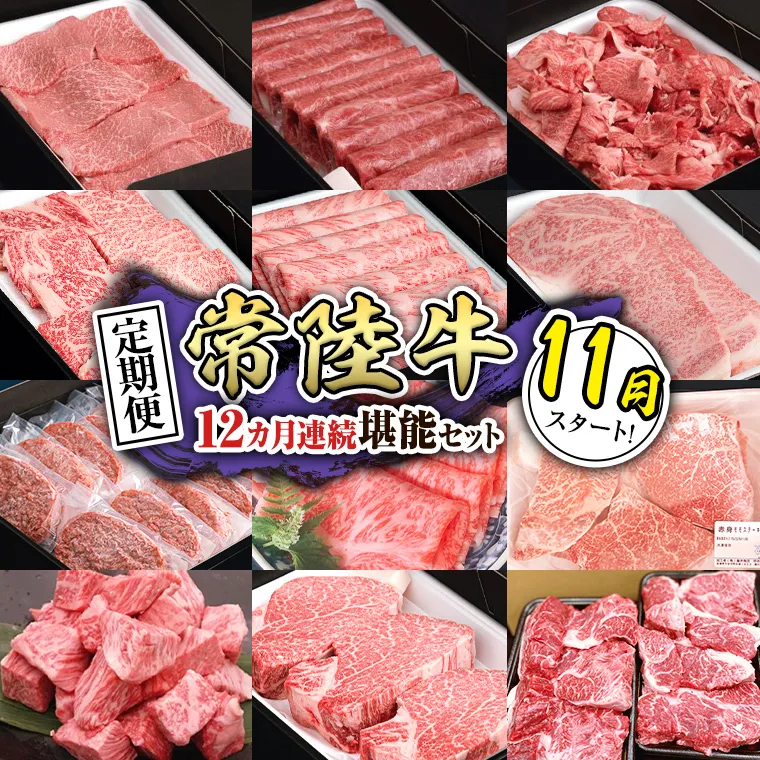 【定期便】【令和7年11月スタート】【全12回】『常陸牛』人気12か月堪能セット（12か月連続でお届け） お肉 肉 牛肉 ステーキ ハンバーグ サーロイン 赤身 切り落とし 霜降り カルビ [BX36-NT]