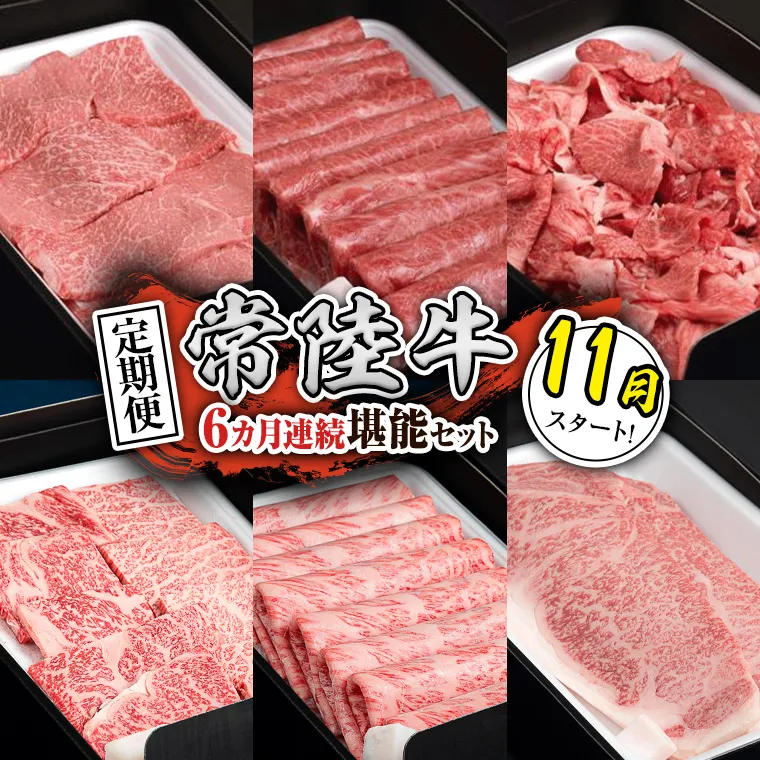 【定期便】【令和7年11月スタート】【全6回】『常陸牛』人気6か月堪能セット（6か月連続でお届け） お肉 肉 牛肉 ステーキ サーロイン 赤身 切り落とし 霜降り カルビ  [BX32-NT]