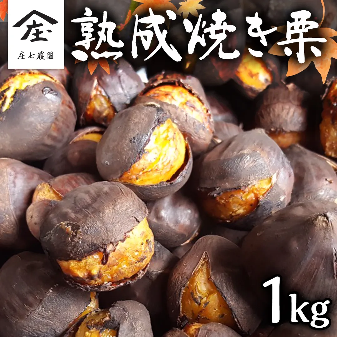 庄七農園 限定 熟成 焼き栗 1kg 【 2024年10月から順次お届け 】 栗 くり 焼栗 おやつ スイーツ 茨城 和栗 美味しい 果物 フルーツ [BK04-NT]