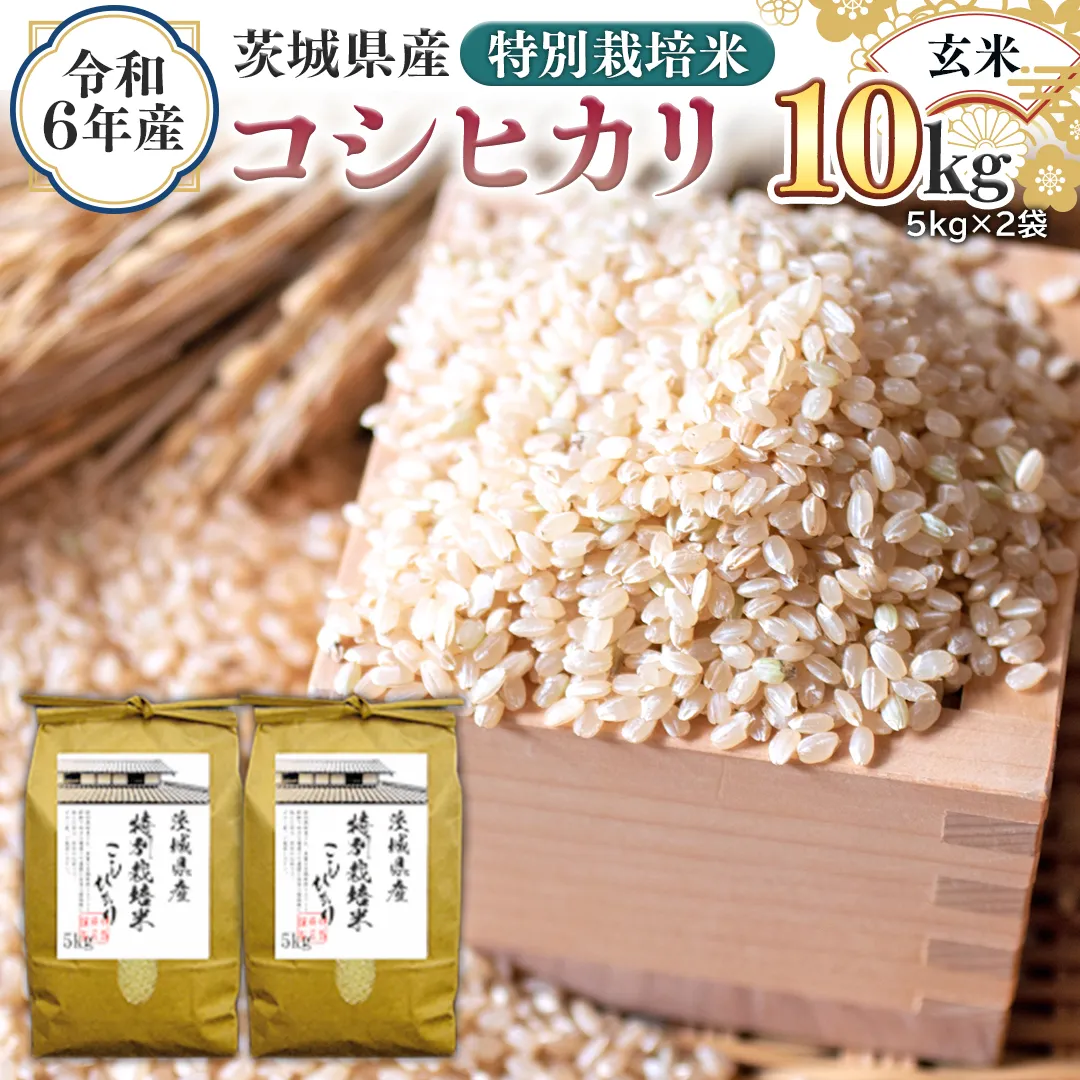 令和6年産 茨城県産 玄米 特別栽培米 コシヒカリ 10kg （5kg×2袋