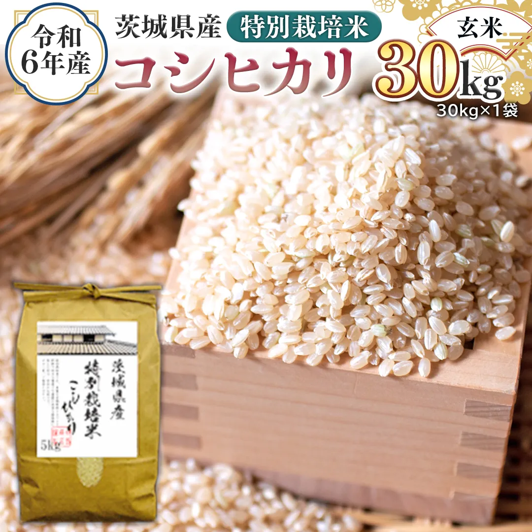 千葉県大多喜産 覆い 新米コシヒカリ(玄米)30kg