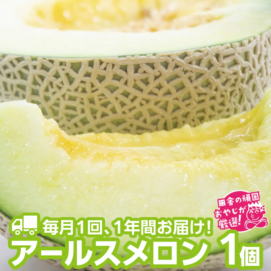 【定期便】 アールスメロン 食べてみセット 1個入り 毎月1回 1年コース (全12回) 田舎の頑固おやじが厳選！ [BI45-NT]