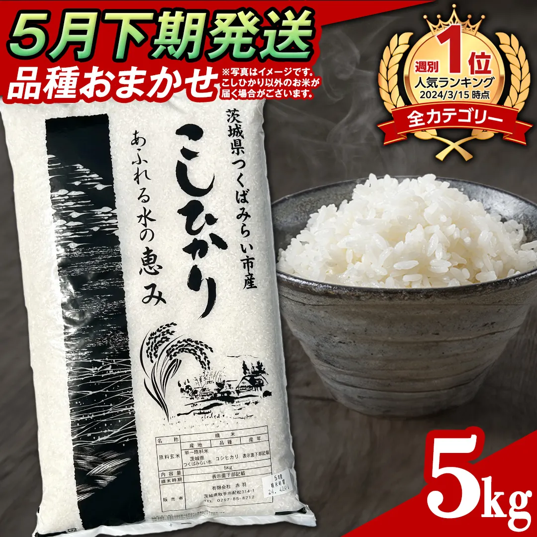 【 5月下期発送 / 数量限定 】茨城県産 精米 5kg (品種おまかせ） 令和6年産 こしひかり 米 コメ こめ 単一米 限定 茨城県産 国産 美味しい お米 おこめ おコメ