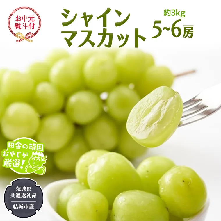 【お中元 熨斗付】 シャインマスカット 約3kg 5〜6房 【2025年7月より発送開始】 （茨城県共通返礼品 [ぶどう]：結城市産） 田舎の頑固おやじが厳選！  マスカット 種なし 高糖度 ギフト お中元 甘い 美味しい フルーツ [BI264-NT]