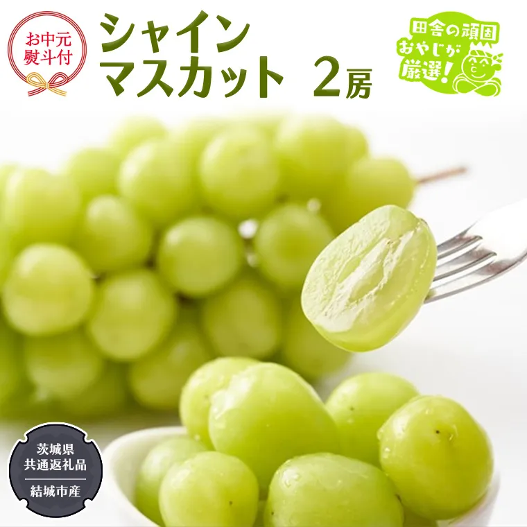 【お中元 熨斗付】 シャインマスカット 2房 【2025年7月から発送開始】 （茨城県共通返礼品 [ぶどう]：結城市産） 田舎の頑固おやじが厳選！ マスカット 種なし 高糖度 ギフト お中元 甘い 美味しい フルーツ ぶどう [BI266-NT]